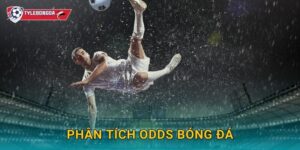 Phân tích odds bóng đá Tylebongda – Kỹ thuật tối ưu cược cho bet thủ chuyên nghiệp