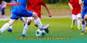 Cách đọc tỷ lệ kèo nhà cái Tylebongda – Hướng dẫn chi tiết cho người mới