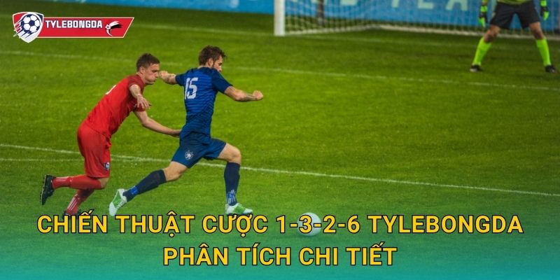 Chiến thuật cược 1-3-2-6 Tylebongda phân tích chi tiết
