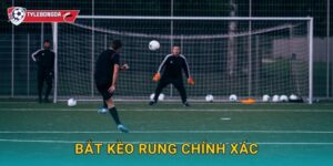 Bắt kèo rung chính xác Tylebongda – Kinh nghiệm chốt kèo live hiệu quả nhất