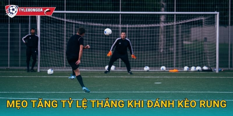 Bắt kèo rung chính xác Tylebongda – Kinh nghiệm chốt kèo live hiệu quả nhất 3 Mẹo tăng tỷ lệ thắng khi đánh kèo rung