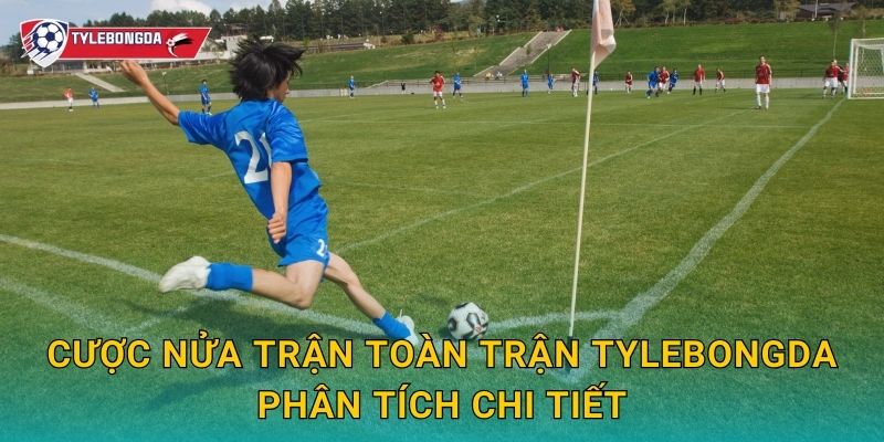 Cược nửa trận toàn trận Tylebongda phân tích chi tiết