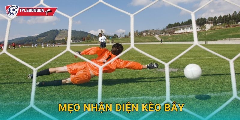 Mẹo nhận diện kèo bẫy Tylebongda – Tránh rủi ro và tăng tỷ lệ thắng