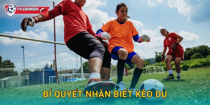 Bí quyết nhận biết kèo dụ Tylebongda – Kinh nghiệm tránh bẫy nhà cái