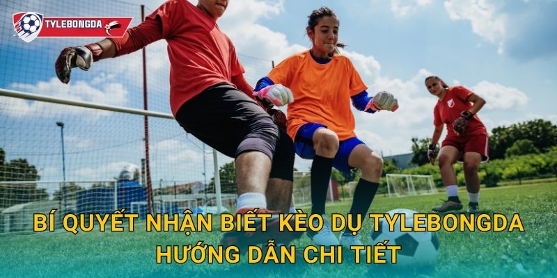 Bí quyết nhận biết kèo dụ Tylebongda hướng dẫn chi tiết