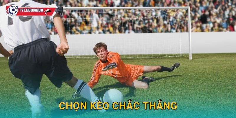 Chọn kèo chắc thắng Tylebongda – Mẹo nâng cao tỷ lệ thành công