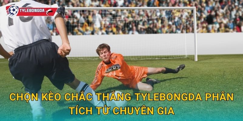 Chọn kèo chắc thắng Tylebongda phân tích từ chuyên gia