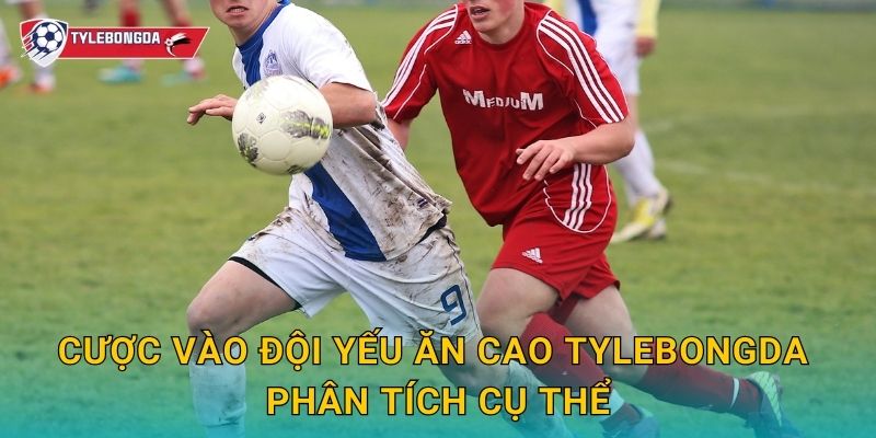Cược vào đội yếu ăn cao Tylebongda phân tích cụ thể