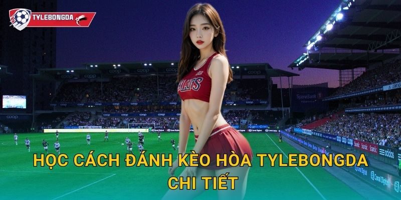 Học cách đánh kèo hòa Tylebongda chi tiết