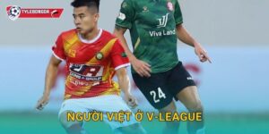 Người Việt ở V-League Tylebongda – Dấu ấn nội binh trong mùa giải mới