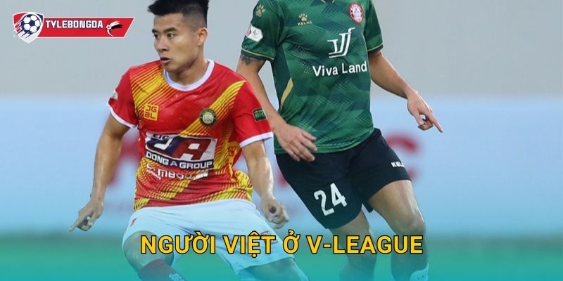 Người Việt ở V-League Tylebongda – Dấu ấn nội binh trong mùa giải mới