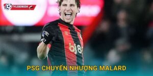 PSG chuyển nhượng Malard Tylebongda – Thương vụ tái thiết hàng công mùa giải mới